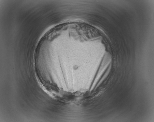 X0000080701038200701121746