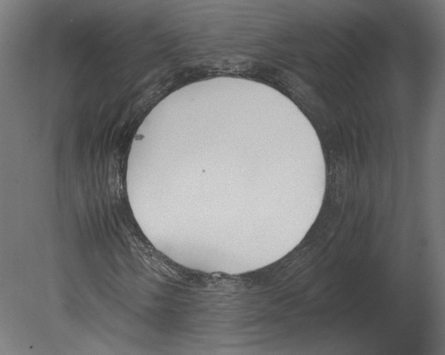 X0000080701058200701121745