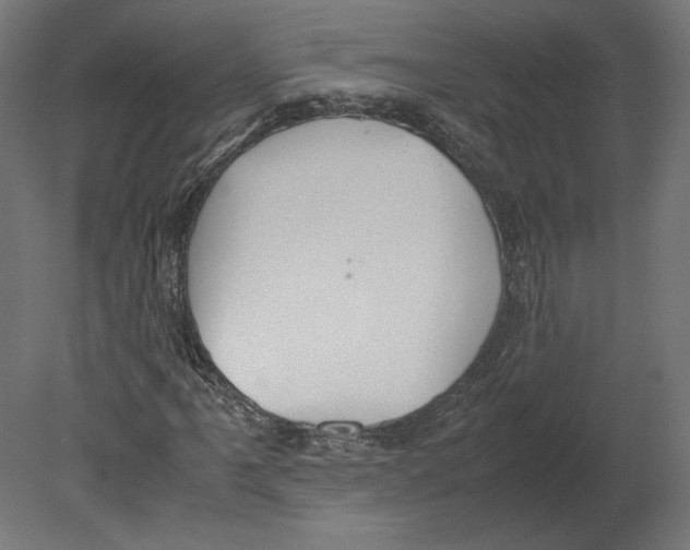X0000080701061200701121745