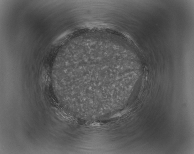 X0000080701063200701121745