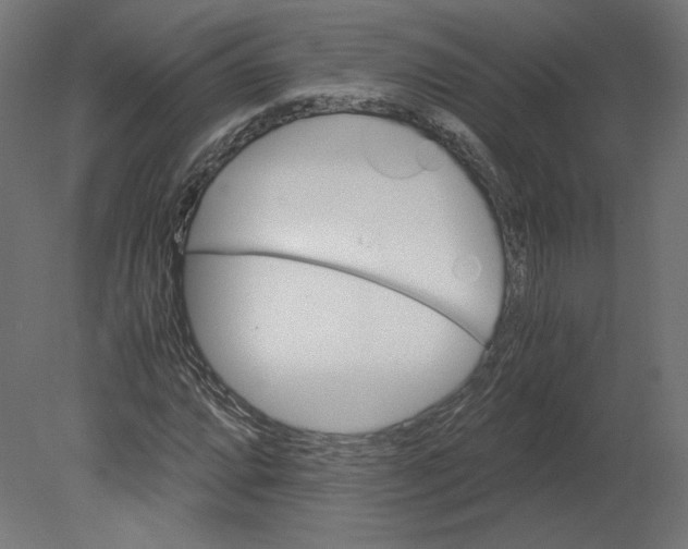 X0000080701064200701121745