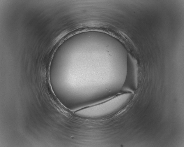 X0000080701065200701121745