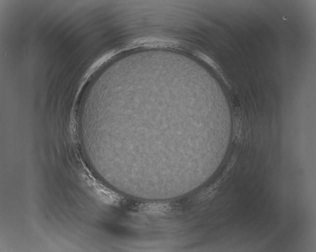 X0000080701074200701121745