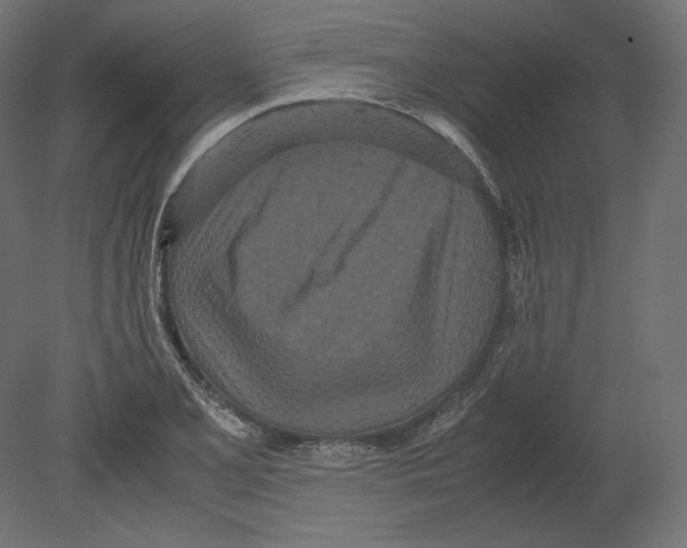 X0000080701077200701121745