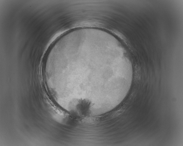 X0000080701078200701121745