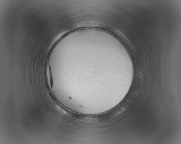 X0000080701081200701121745