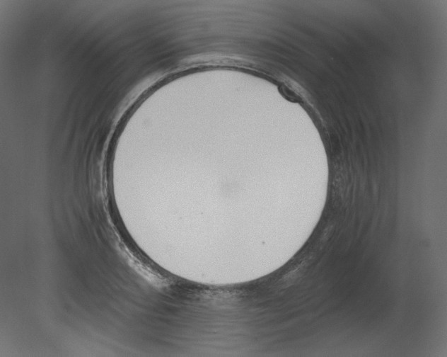 X0000080701082200701121745