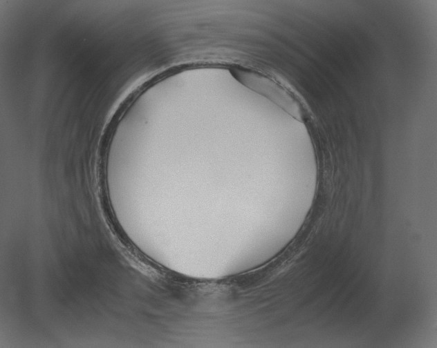 X0000080701085200701121745