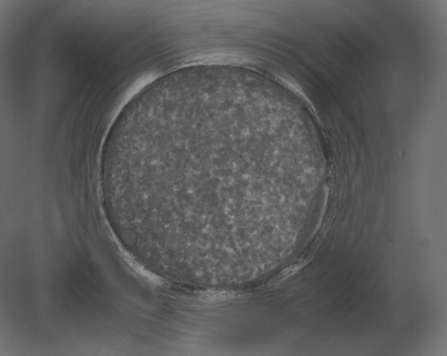 X0000080701087200701121745