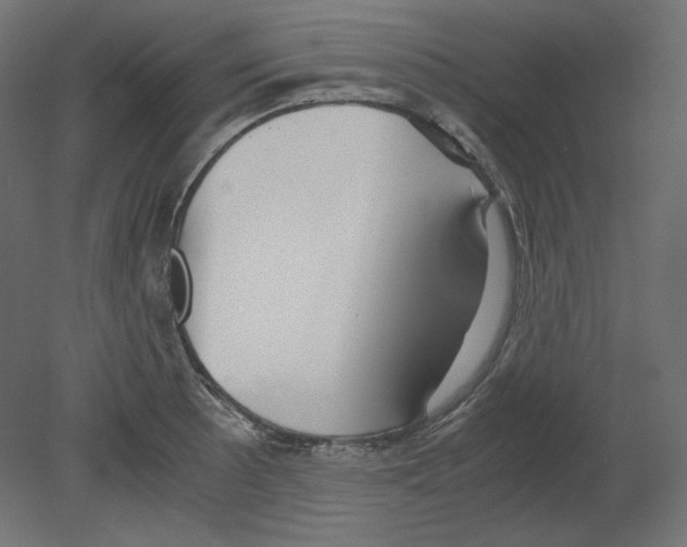 X0000080701089200701121745