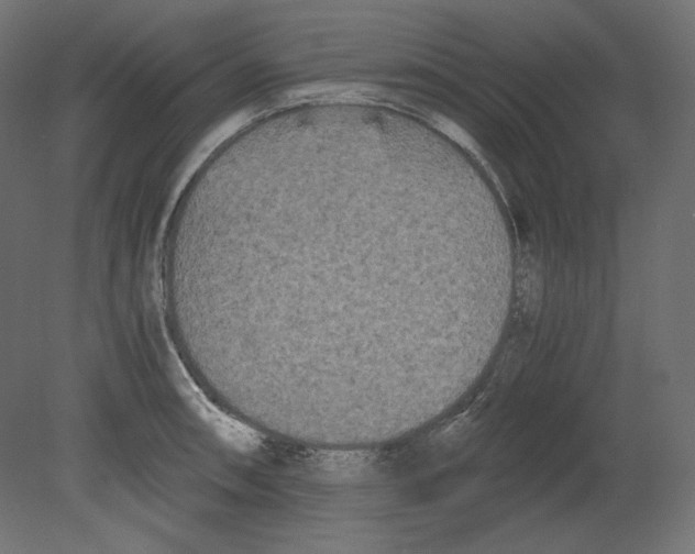 X0000080701090200701121745