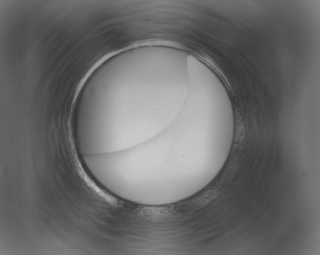 X0000080701092200701121745