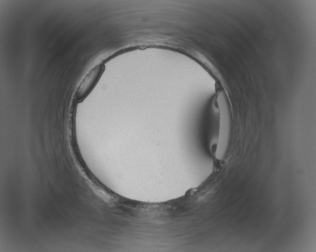 X0000080701093200701121745