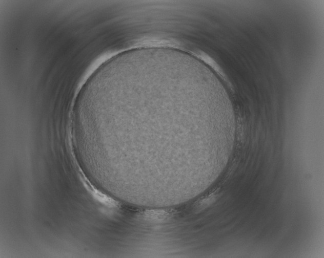 X0000080701094200701121745