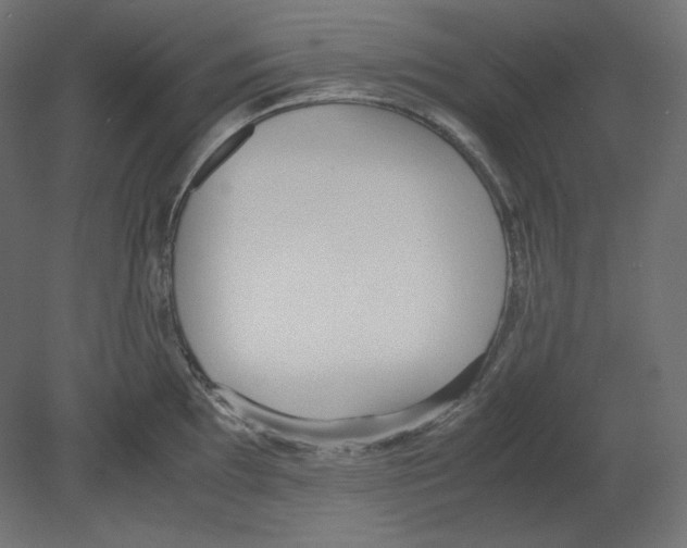 X0000080701097200701121745