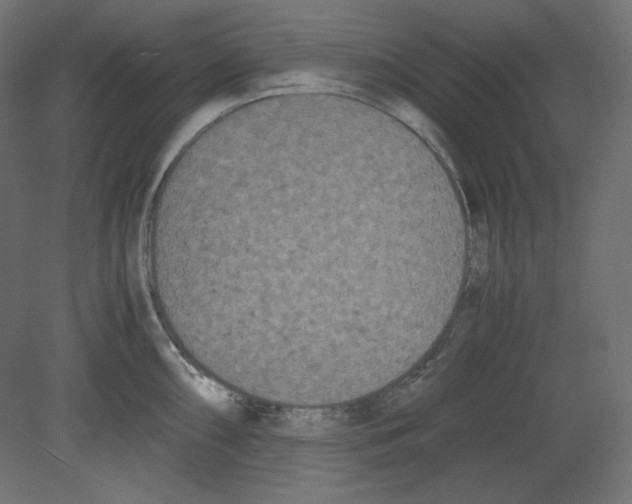 X0000080701098200701121745
