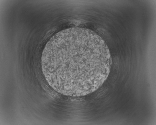 X0000080701105200701121744