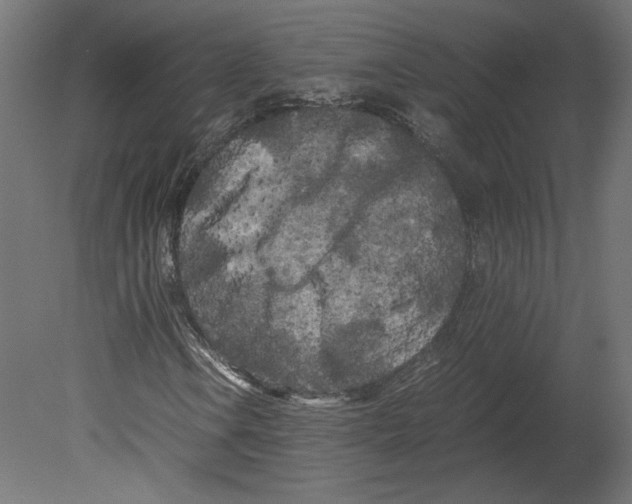 X0000080701106200701121744