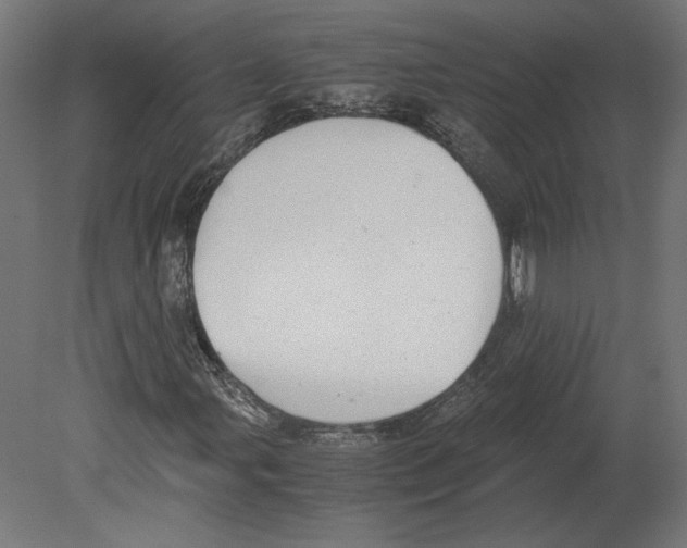 X0000080701107200701121744