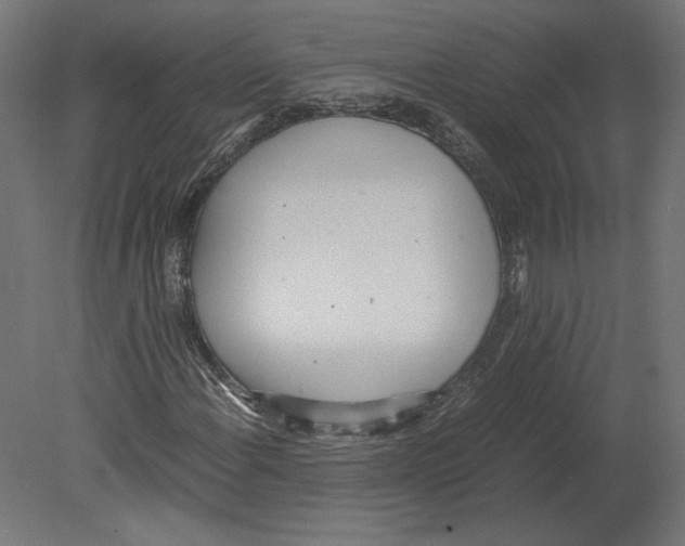 X0000080701108200701121744
