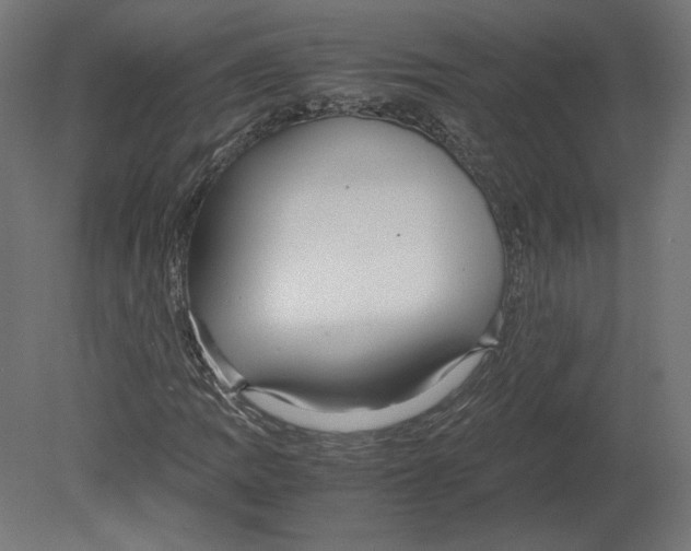 X0000080701109200701121744