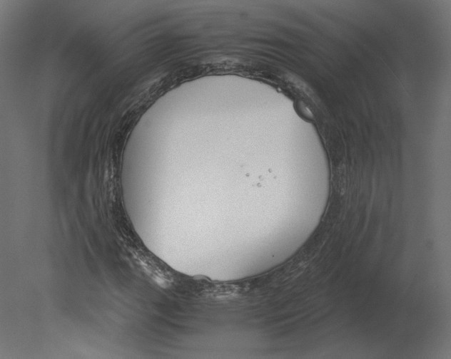 X0000080701111200701121744