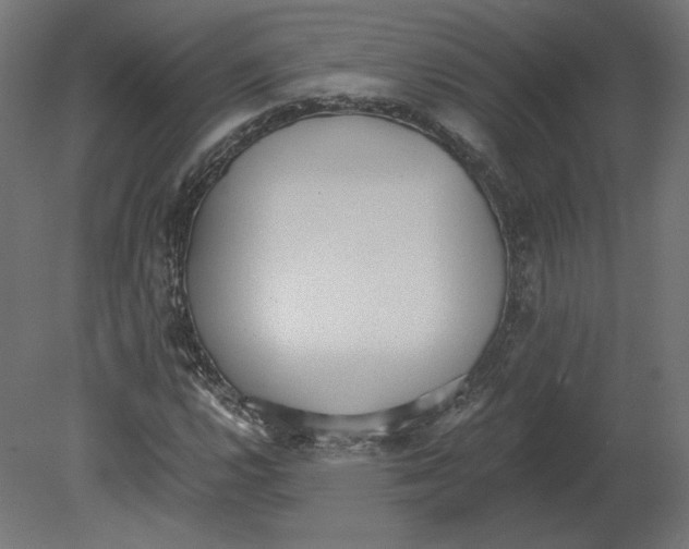 X0000080701112200701121744