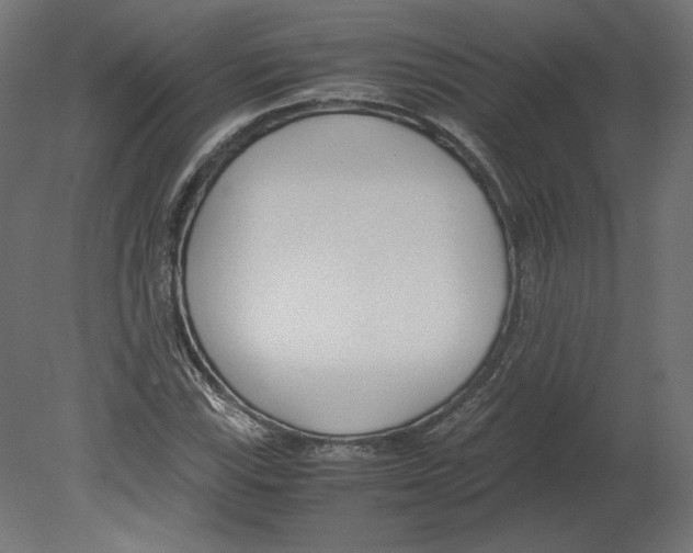 X0000080701115200701121744