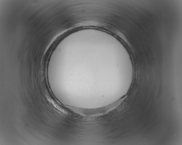 X0000080701116200701121744