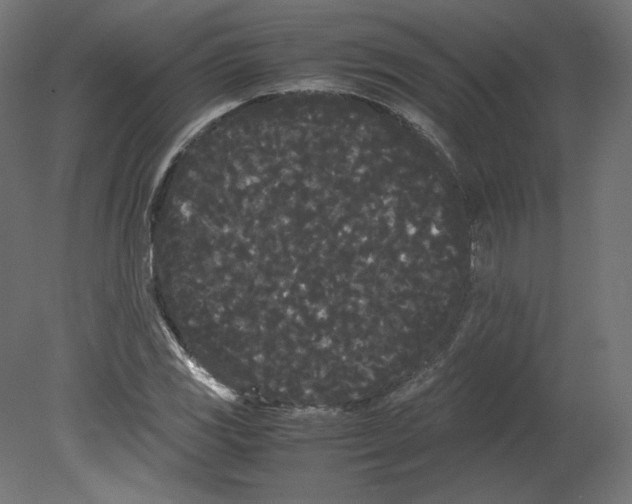 X0000080701117200701121744