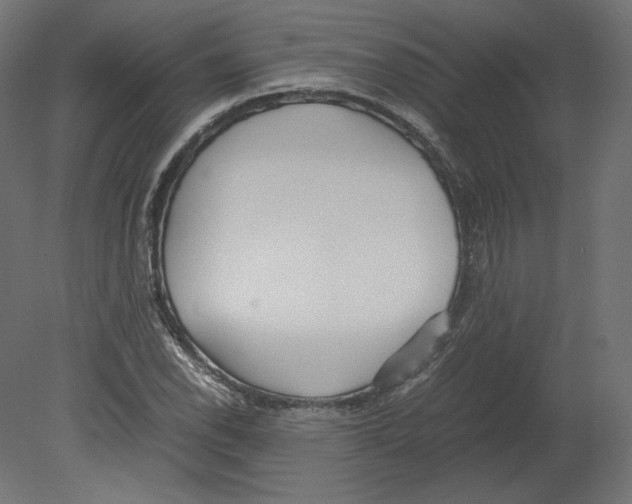 X0000080701118200701121744