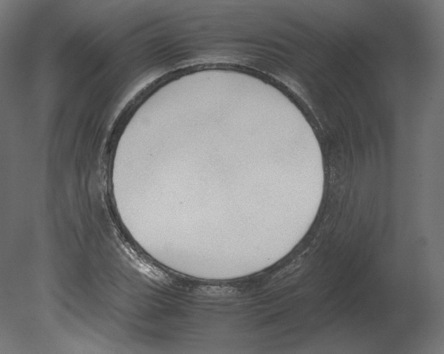 X0000080701119200701121744