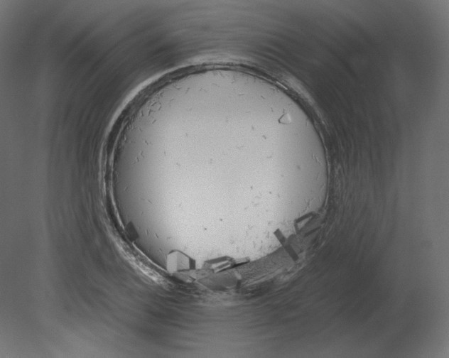 X0000080701124200701121744