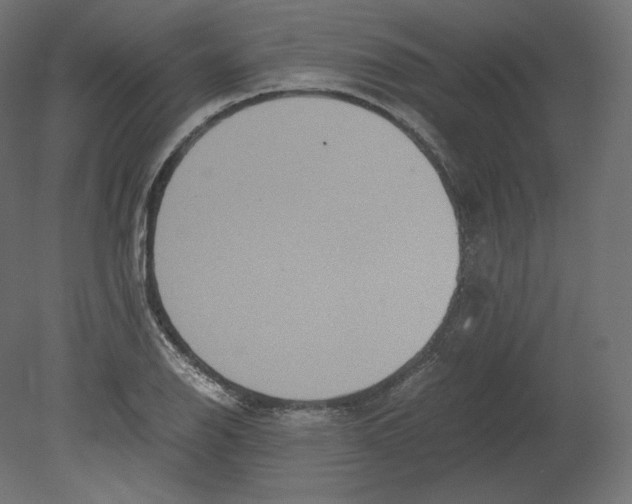 X0000080701126200701121744