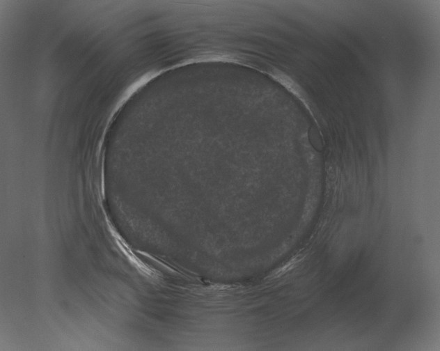 X0000080701127200701121744