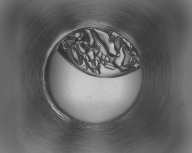 X0000080701128200701121744