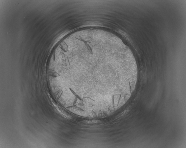 X0000080701129200701121744