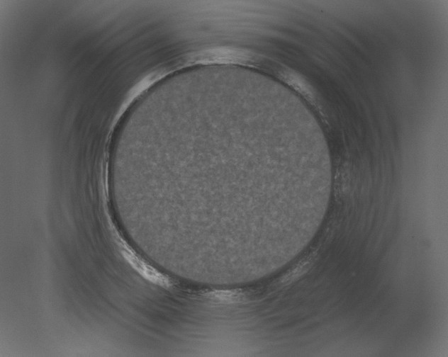 X0000080701130200701121744