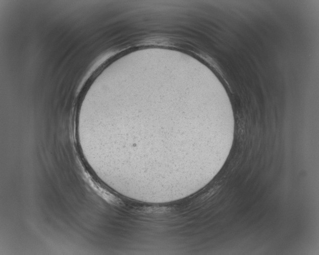 X0000080701131200701121744
