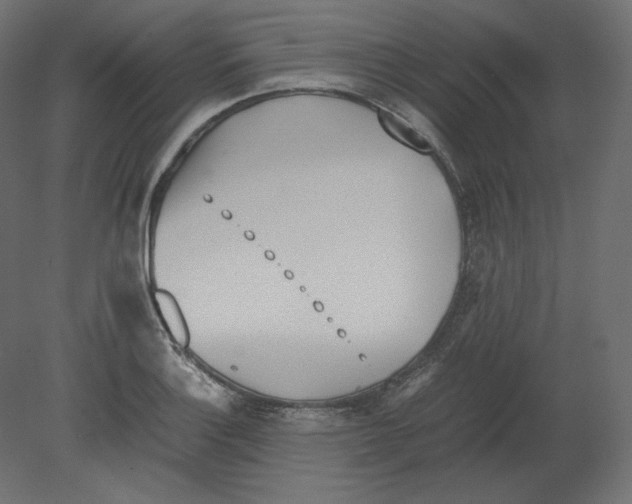 X0000080701132200701121744
