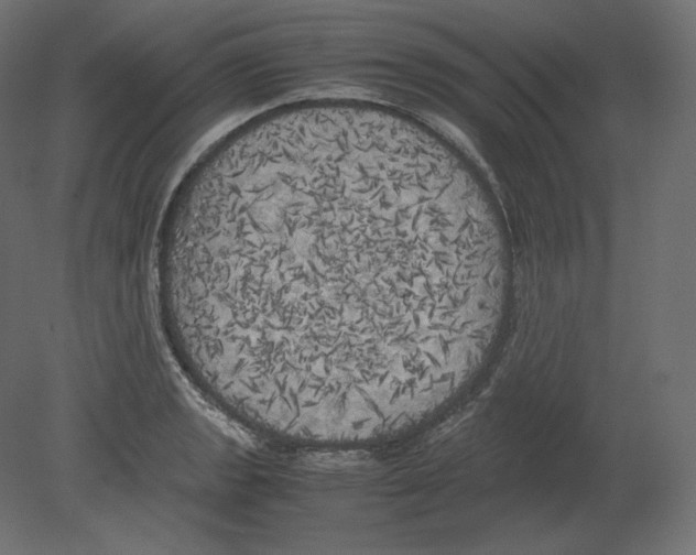 X0000080701133200701121744