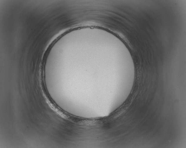 X0000080701134200701121744