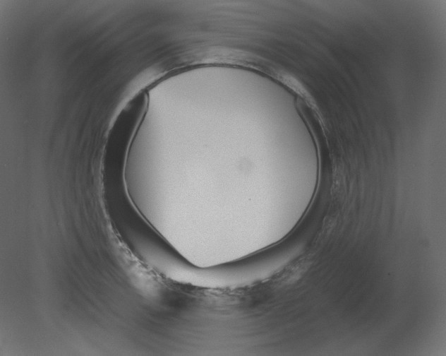 X0000080701138200701121744