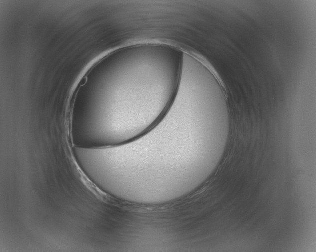 X0000080701148200701121744