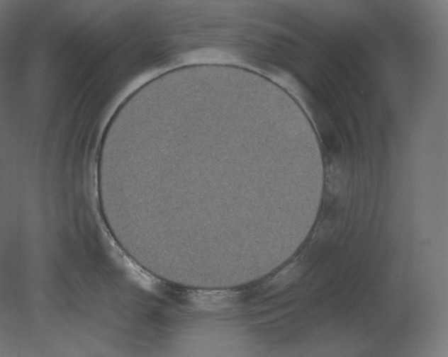 X0000080701150200701121744