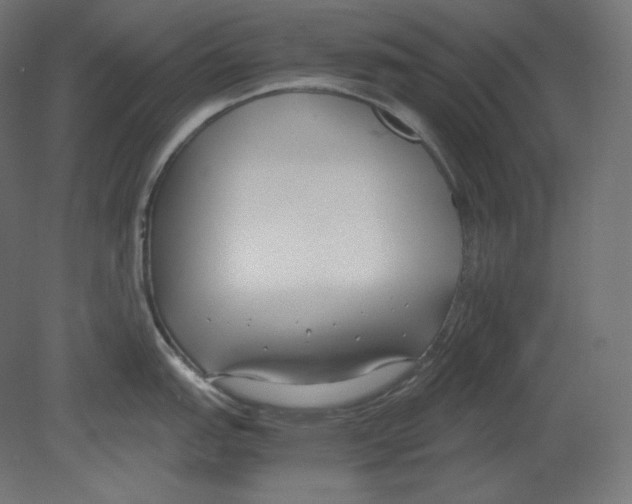 X0000080701151200701121744