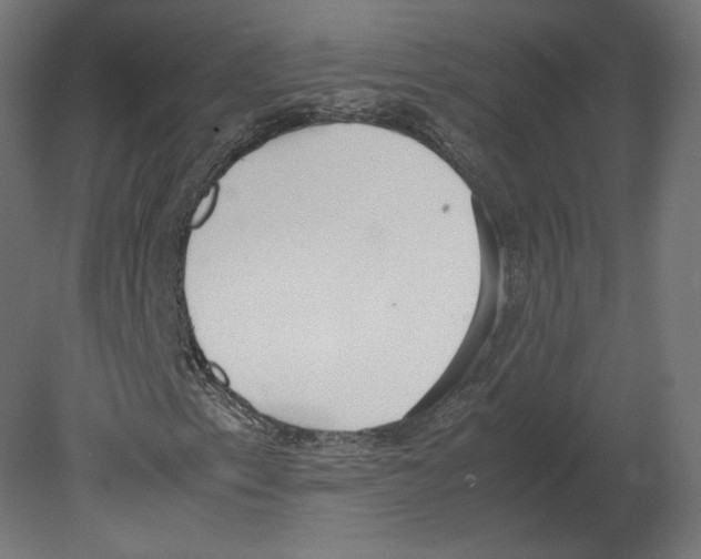 X0000080701153200701121744