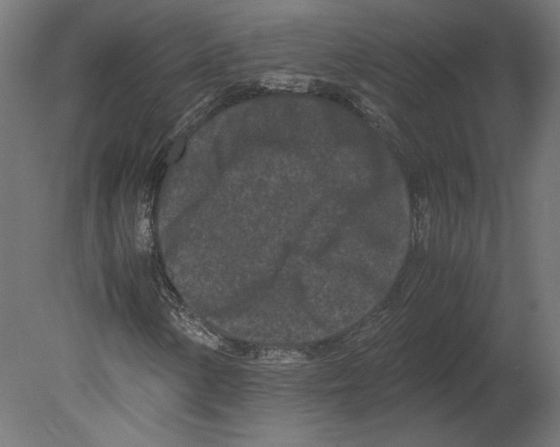 X0000080701154200701121744