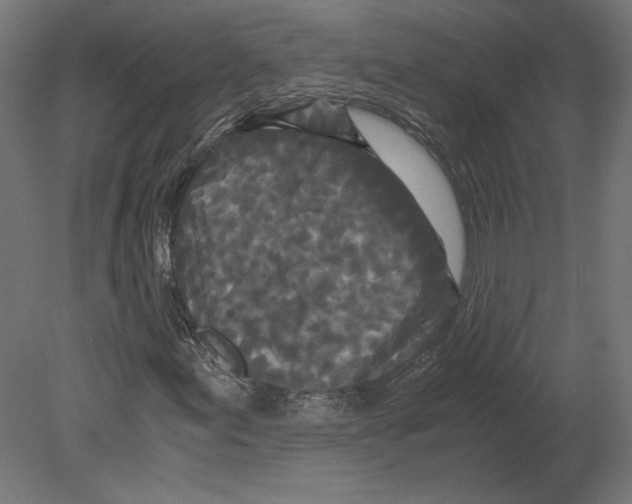 X0000080701155200701121744