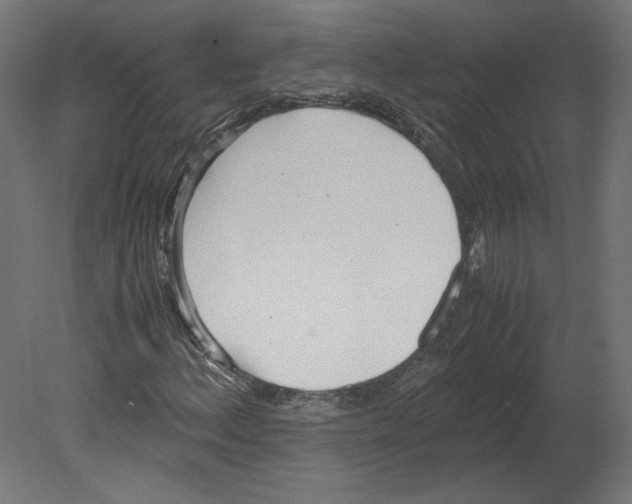 X0000080701156200701121744